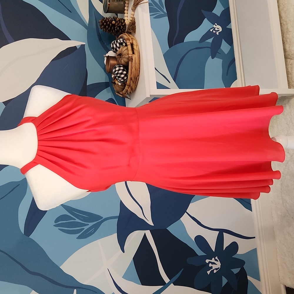 Express reddish coral dress high neck open back chiffon style Size 6